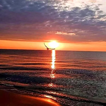 Daire Vesna Luxury & Stefan Ap 4 Paralía