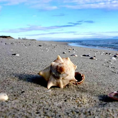 Апартаменты Vesna Luxury & Stefan Ap 4 Паралия-Катерини